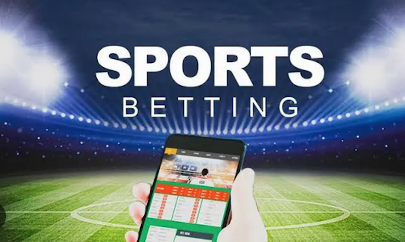 Exploring the Features of Betwinner Your Ultimate Betting Partner