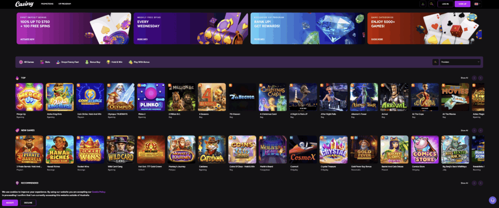 The Complete Guide to Casiny Login